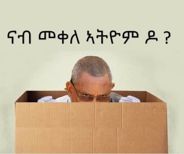 Ghedim2's tweet photo. @AstuZana @tvbempt Yeah...life time president....are you Eritrean? https://t.co/bCPApJfEsu