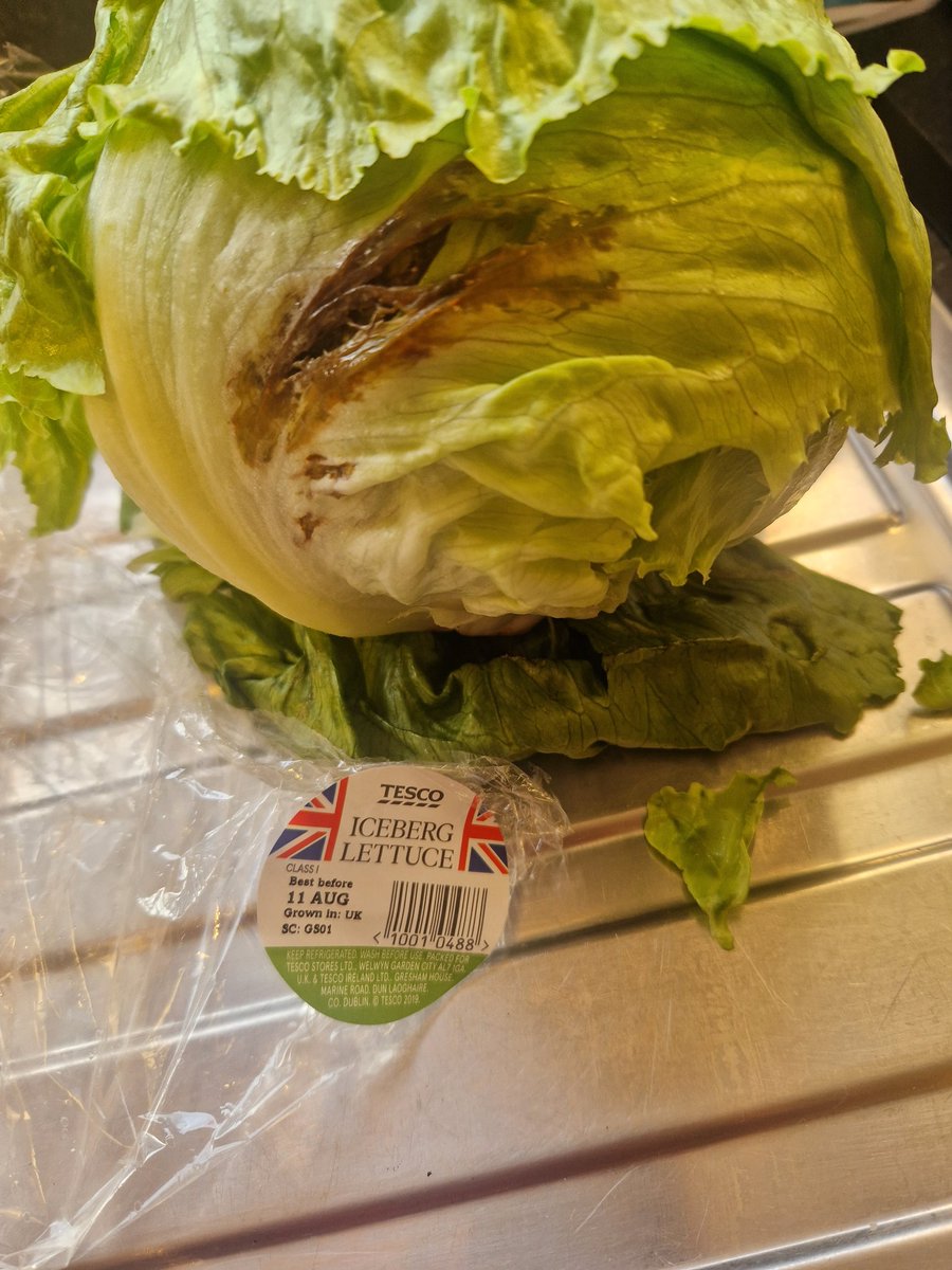 Thanks for the fresh lettuce 👌 <a href="/Tesco/">Tesco</a>