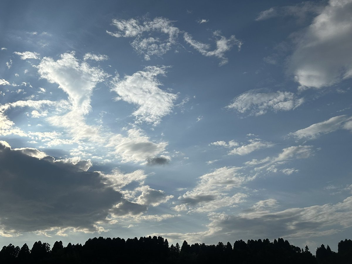 v80f's tweet photo. お
は
よ
う
な
の
で
す
٩(^‿^)۶

まぁ〰
連日の猛暑続きで暑くて暑くて🥵
久しぶりにパラパラと雨☔️降ったけどかえってめっちゃ蒸し暑い💦
みなさん今週もよろしくお願いします🙇‍♂️
こまめに水分補給して良い1日に
では
十分気を付けて行って来ます😆 https://t.co/ExPuSxmA4x
