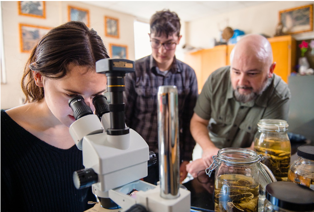 IUPedu's tweet photo. Start a project, and get creative. Work with a mentor, and build real-life experience. The IUP Office of Undergraduate Research is the central spot to find, conduct, and present your research and creative activities. Learn more here https://t.co/x1MyIOTC9C #GetReadyIUP https://t.co/Sjc4JIRsyU