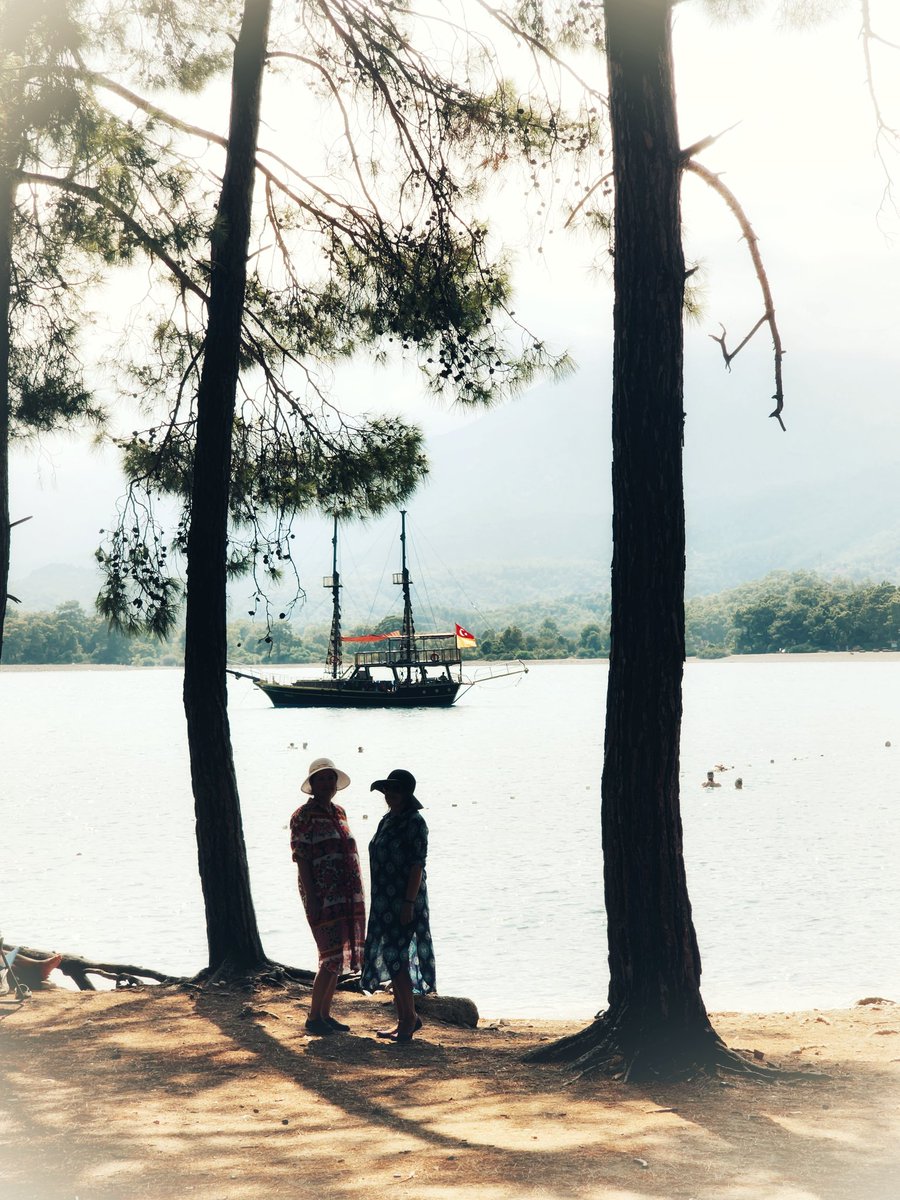 Cem Ayden (@aydencem) on Twitter photo 