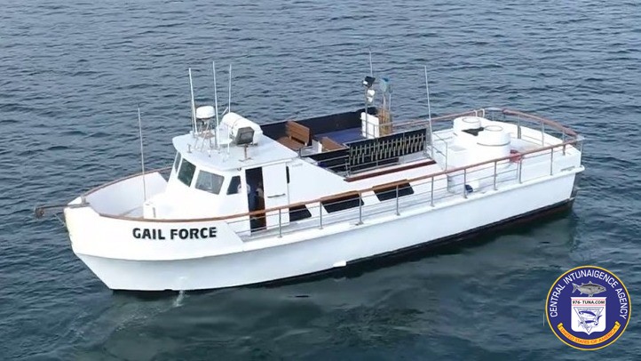 976tuna's tweet photo. Gail Force Offshore Fishing Tomorrow https://t.co/KRnaN7vDtR #gailforce #lawaterfrontsportfishing #fish #fishing #fishingtrip #oceanfishing #socalfishing #fishingtrip #goodtimes #livebait #saltlife #saltwater #tasty #thetugisthedrug https://t.co/2HbjKy6YGF