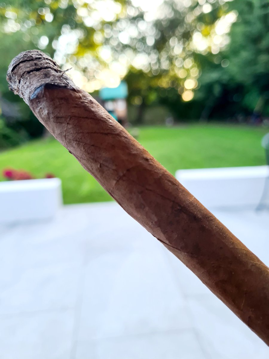 wmd4x's tweet image. No new trades, no stress