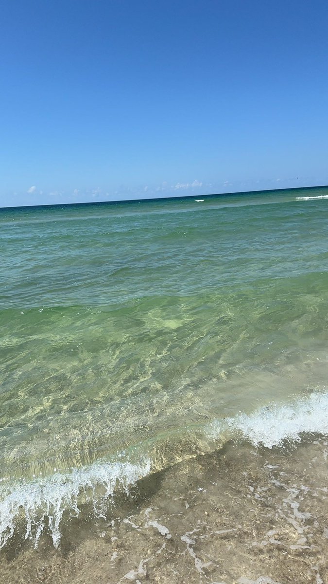 SkylarSteib's tweet photo. What’s a better way to spend your first day of senior year?!? ☀️🏖️ #collegepreponlineschoolperks https://t.co/RZaIKUC0uV