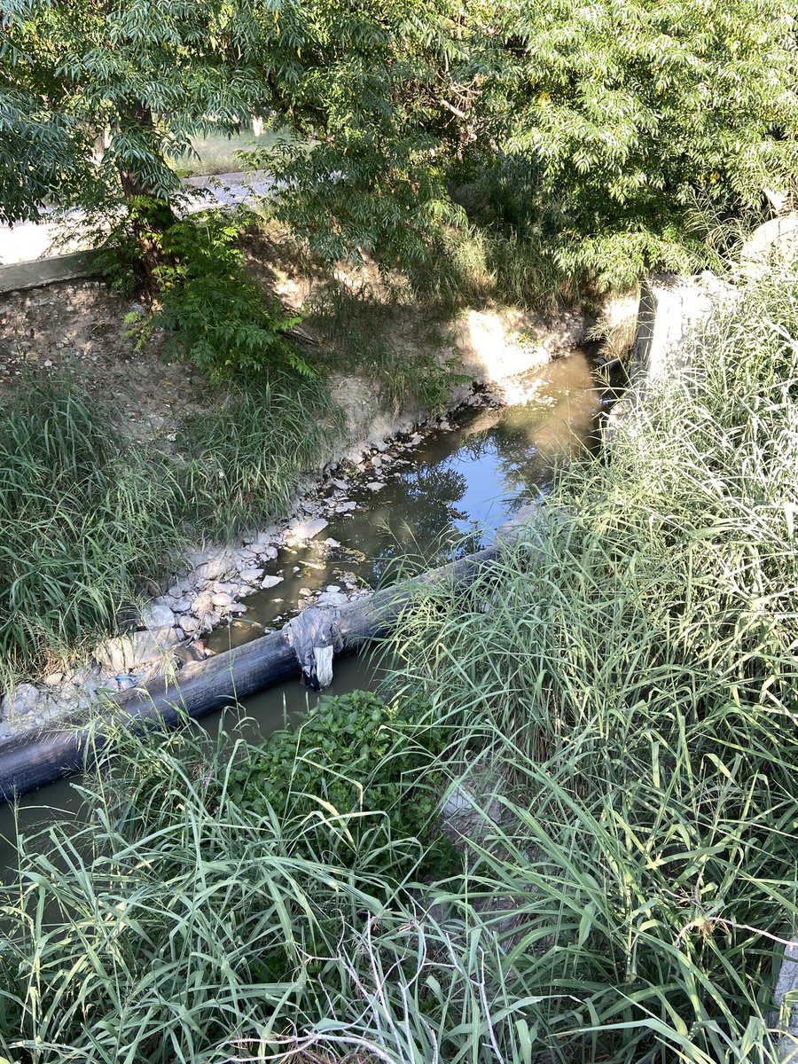 DRAMOSRDZ's tweet photo. @AguasdeSaltillo @CICsal Fuga de aguas negras en Parque Ecologico El Paraiso en la Aurora. Olores fetidos y foco de infeccion, ayuda. https://t.co/DZmmcfSGPZ