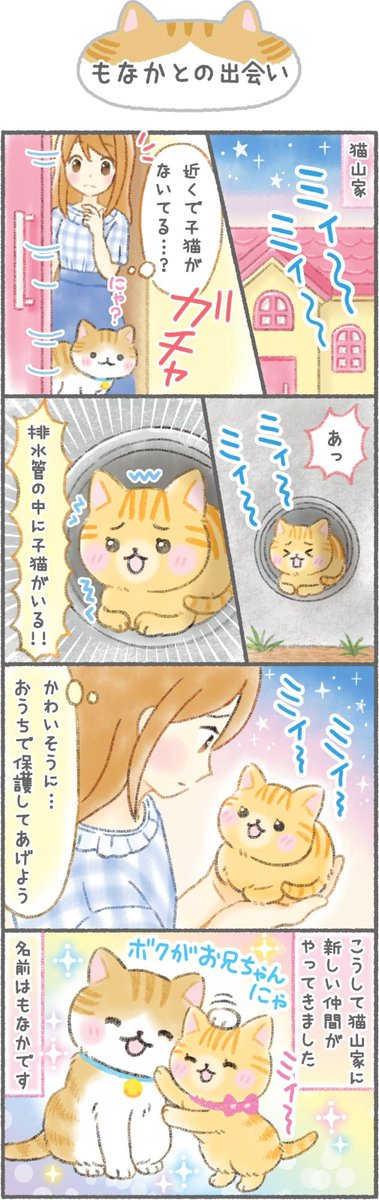 公式】ねこたつ 〜 いつでもそばにいるニャ。 (@nekotatsu5) / Posts / X