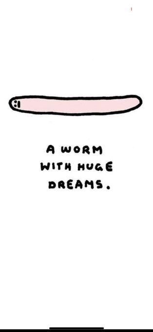 This week in life: 🐱☀️🏋🏼&zwj;♀️🥂 🪱 https://t.co/hAripWCqGa