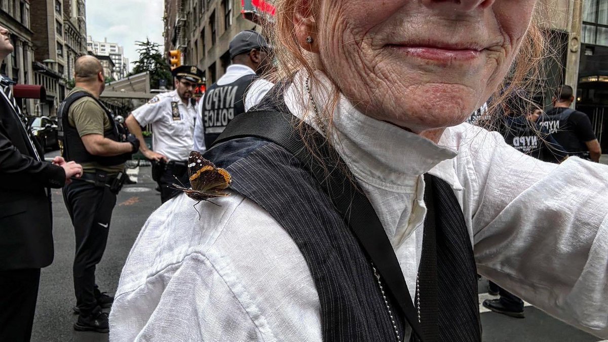 sandibachom's tweet photo. When my son died, my teacher told me he’s with me all the time over my right shoulder. He always used to worry about me so when I went to Charlottesville and when I went to DC for those other rallies. So I missed the riot in Union Square but I got there for the aftermath and I was standing near the cops and one of the photographers said “there’s a butterfly on your shoulder” and it just stayed there for several minutes and then it flew away and it came back and landed on my hat  I’m gonna take it that he was Grant protecting me and will continue to protect me because I miss him so much and he misses me. ❤️📹