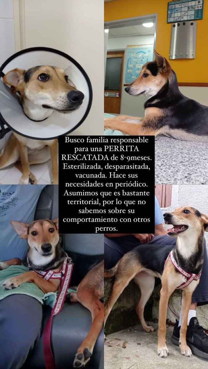 de_diaz94's tweet photo. Un rt ayudaría mucho 🥺 https://t.co/vLhgojcCLg