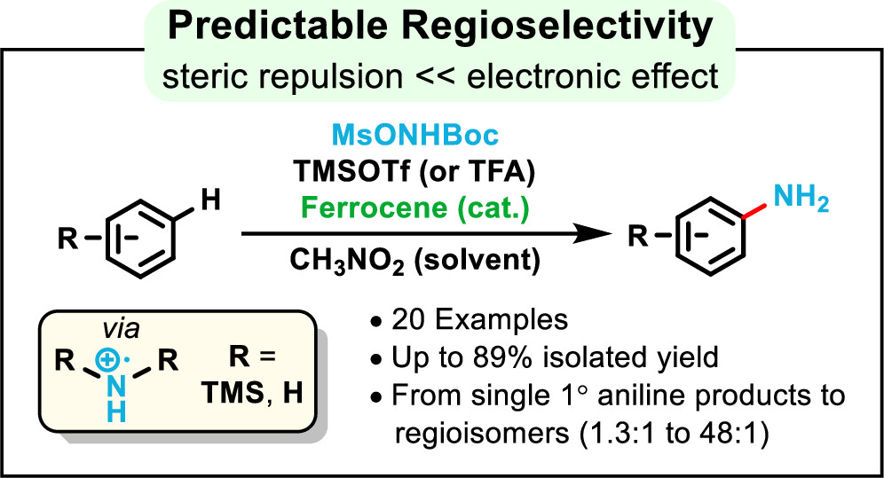 We are delighted that our work on the iron-catalyzed directing-group-free arene C(sp2)–H amination is now published in JOC (pubs.acs.org/doi/10.1021/ac…). Congrats to the Rice and BYU teams: Young-Do (<a href="/YDK0627/">Young Do Kwon</a>), Nicole (<a href="/nbehnke6/">Nicole Behnke</a>), Michael (<a href="/Davenportmichae/">Michael T. Davenport</a>) and Professor Daniel Ess!