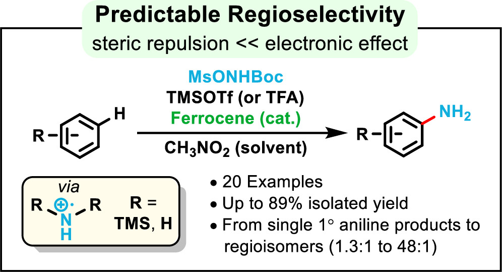 We are delighted that our work on the iron-catalyzed directing-group-free arene C(sp2)–H amination is now published in JOC (pubs.acs.org/doi/10.1021/ac…). Congrats to the Rice and BYU teams: Young-Do (@YDK0627), Nicole (@nbehnke6), Michael (@Davenportmichae) and Professor Daniel Ess!