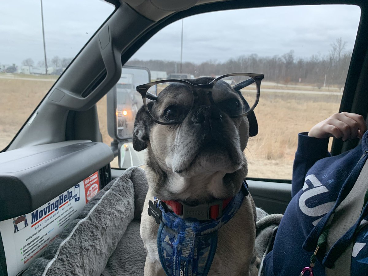 Pat Krane 🎙 tweet media