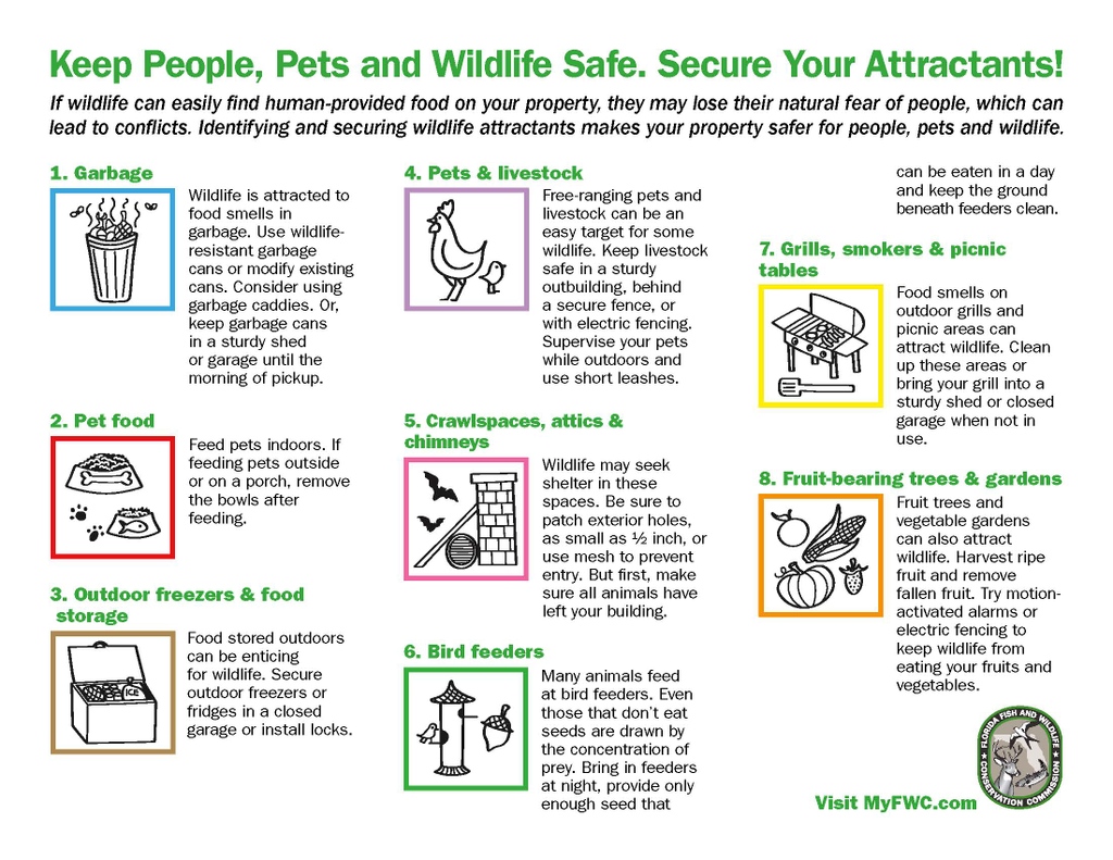 austinanimals's tweet photo. As Austin grows, so do the number of wildlife encounters. Let's #KeepAustinWild and prevent conflict between humans and critters. 

Learn more at https://t.co/udNGN727Zu

Thank you to @myfwc for these great graphics! https://t.co/YuW9HI5wdV