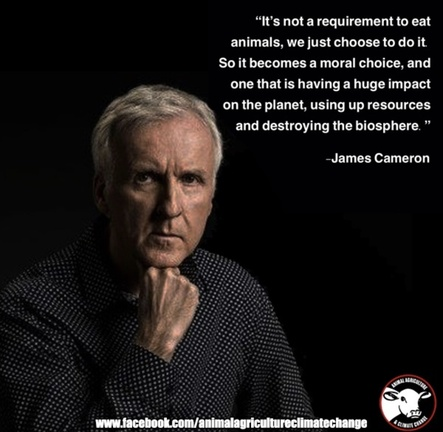veganfuture's tweet photo. https://t.co/XFRP7t9YSM
