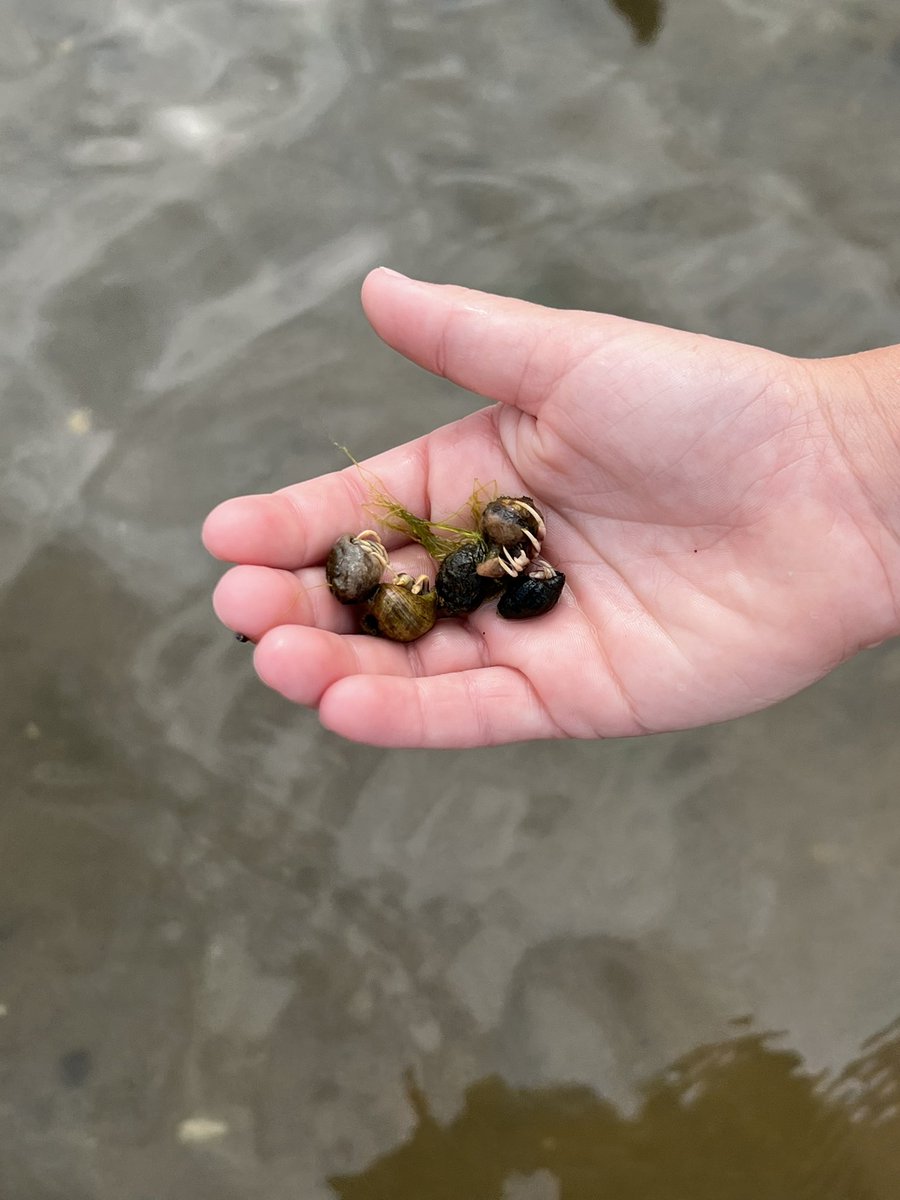 Even on vacation we “science”.
