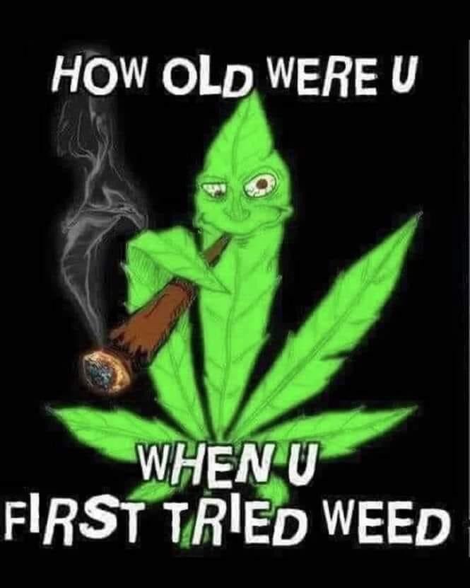 💨🍃 tweet media