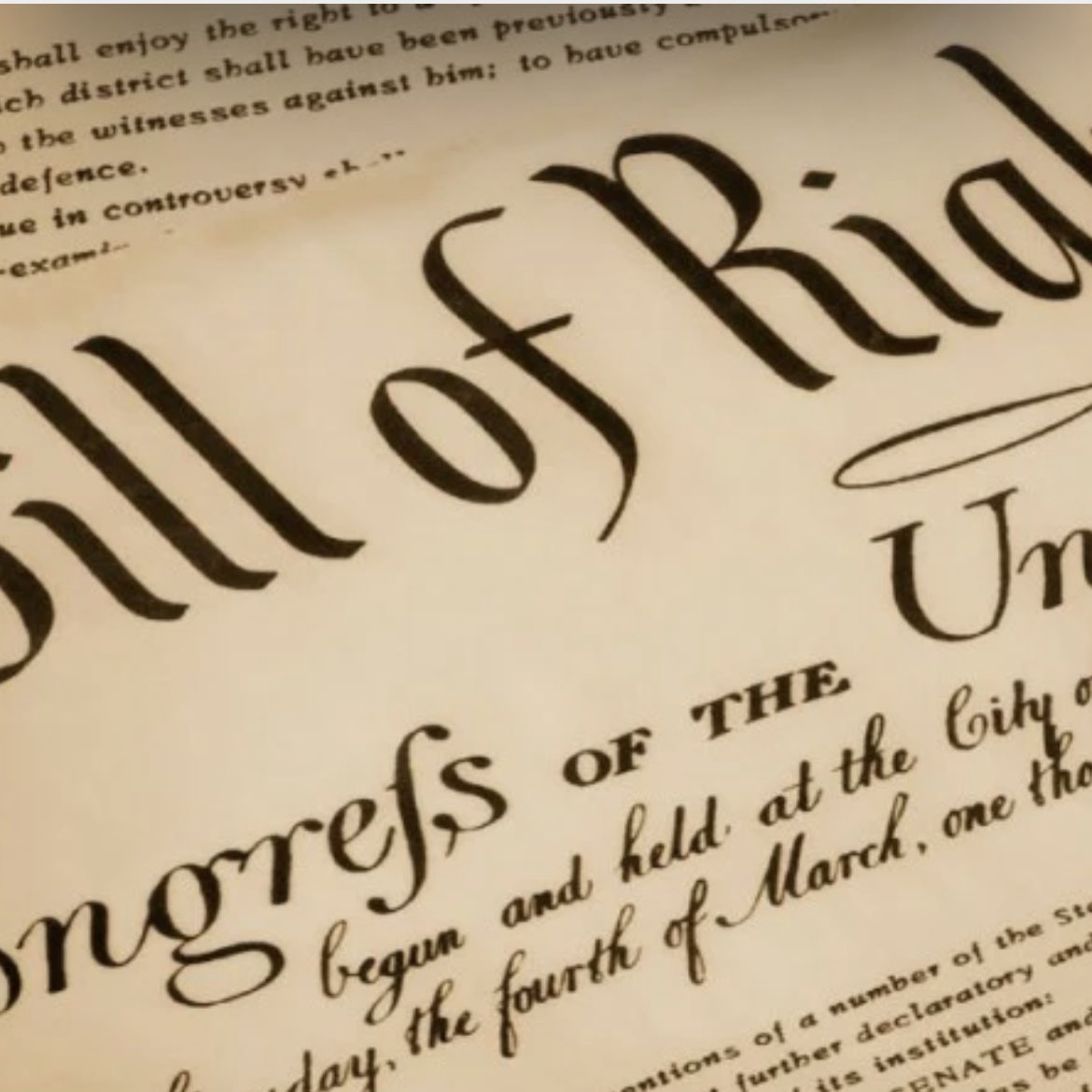 joaco537's tweet image. Make No Mistake , #YourRights Are On The #ChoppingBlock , Open Your Eyes And #Protect Them #WeThePeople #WeTheAmericans 🇺🇸💯🆓