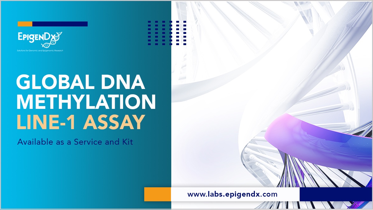 EpigenDx's tweet photo. Global DNA Methylation – Our LINE-1 assay for the detection and quantification of global DNA methylation employs Long Interspersed Nucleotide Element-1 as a substitute to detect global meC. The percentage of methylation detect…

🚀 Learn more #EpigenDx:  https://t.co/7okS7QArhS https://t.co/MczJxpNJuO