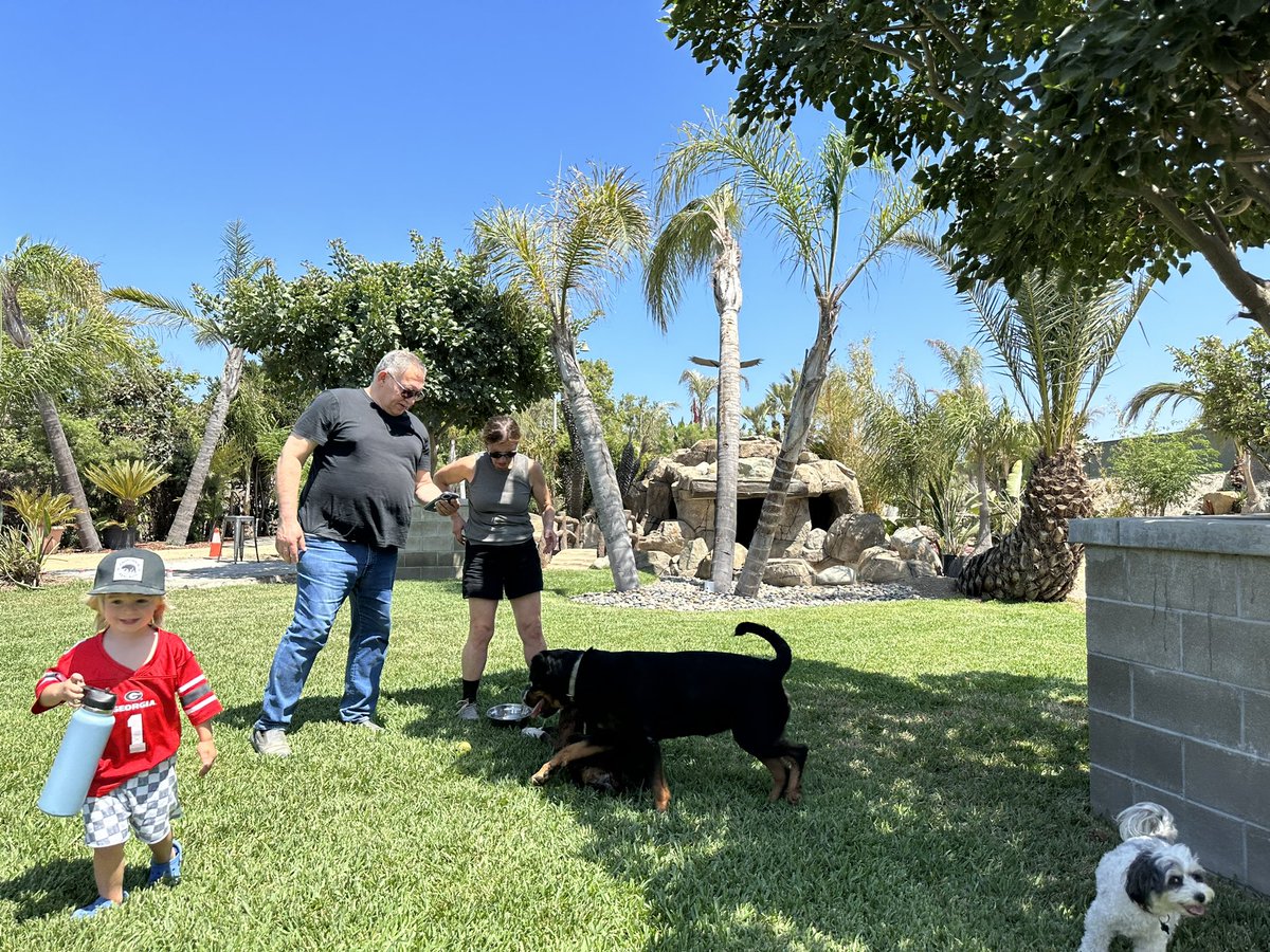 DeeDogPark's tweet photo. Sunday funday at DDP! Impromptu play date! https://t.co/QDGAfv3CWc
