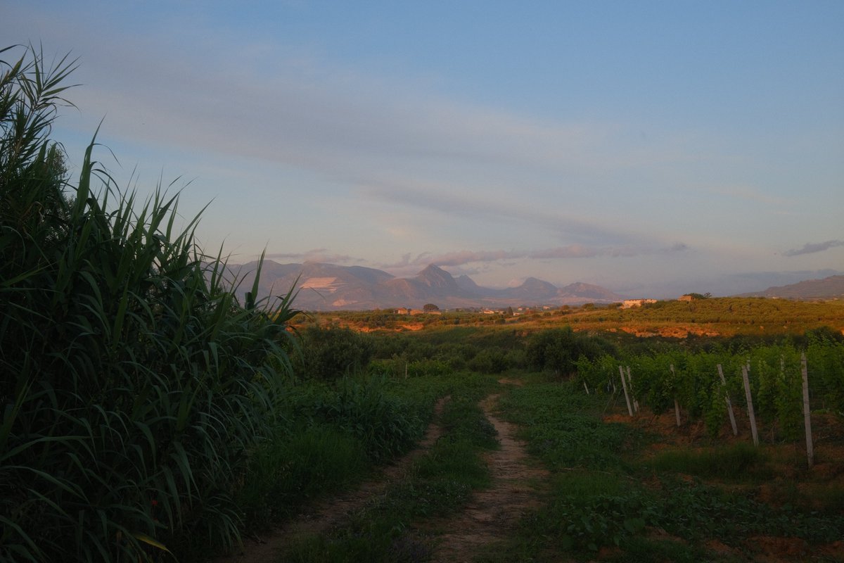 Sicily, shot on my Fuji X100V