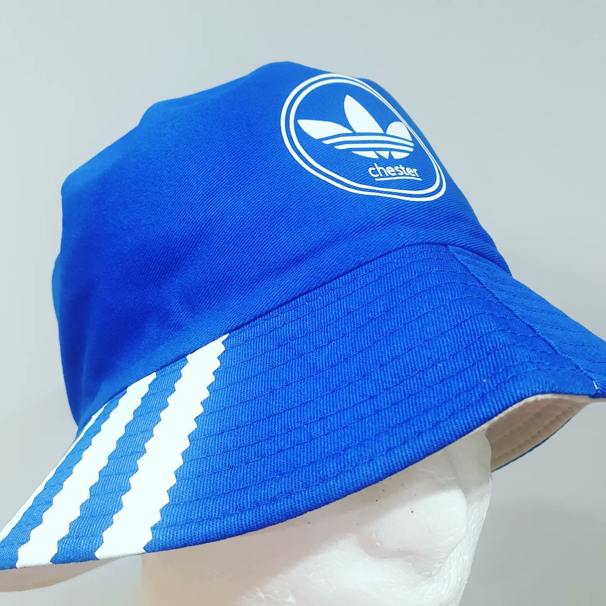 Chester F.C. requested by a follower #chesterfc #chesterfcawaydays #theseals #theblues #thedevastadium