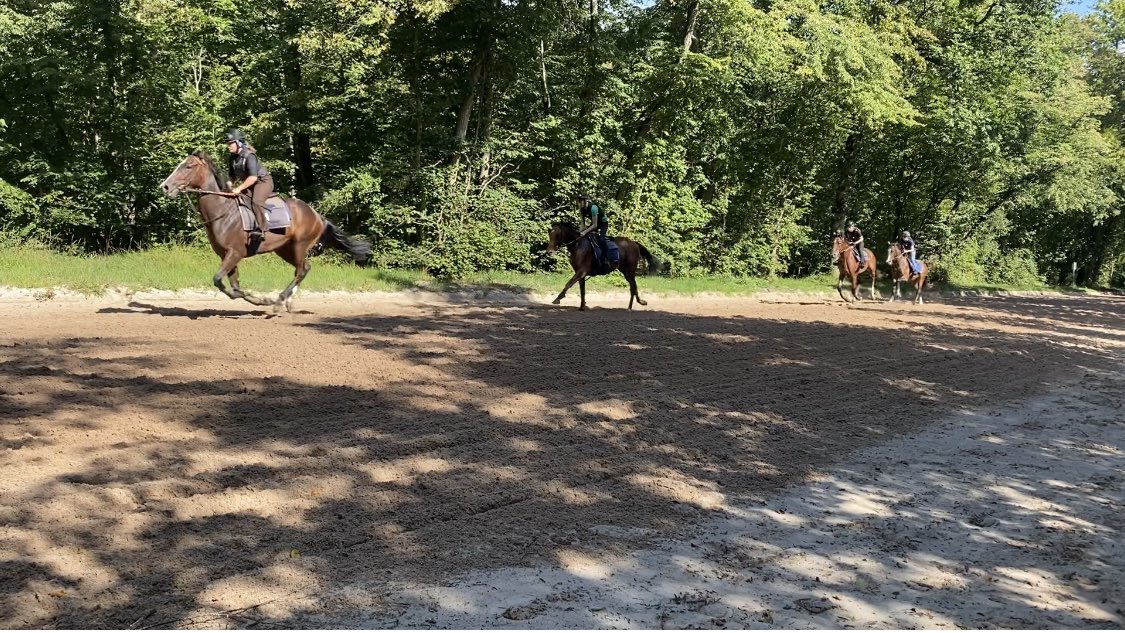 A great day visiting trainers on the  beautiful gallops of Chantilly 🐎

A very big thank you to Henri Devin, @TDonworthRacing, Fabrice Chappet & Christophe Ferland 

#TattsonTour