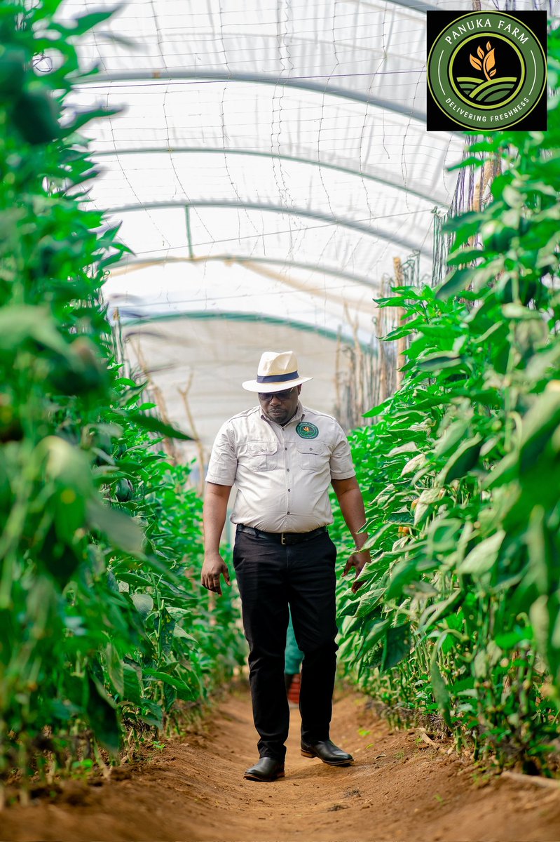Panuka AgriBiz Hub tweet media