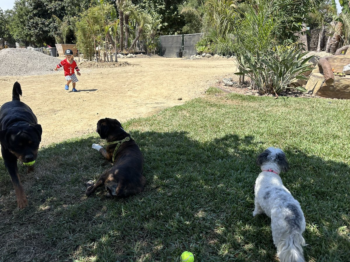 DeeDogPark's tweet photo. https://t.co/bKRPSQm7Dl