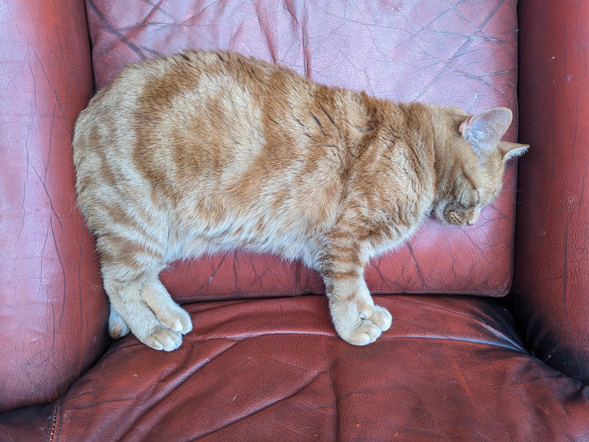 Ben Morgan tweet media