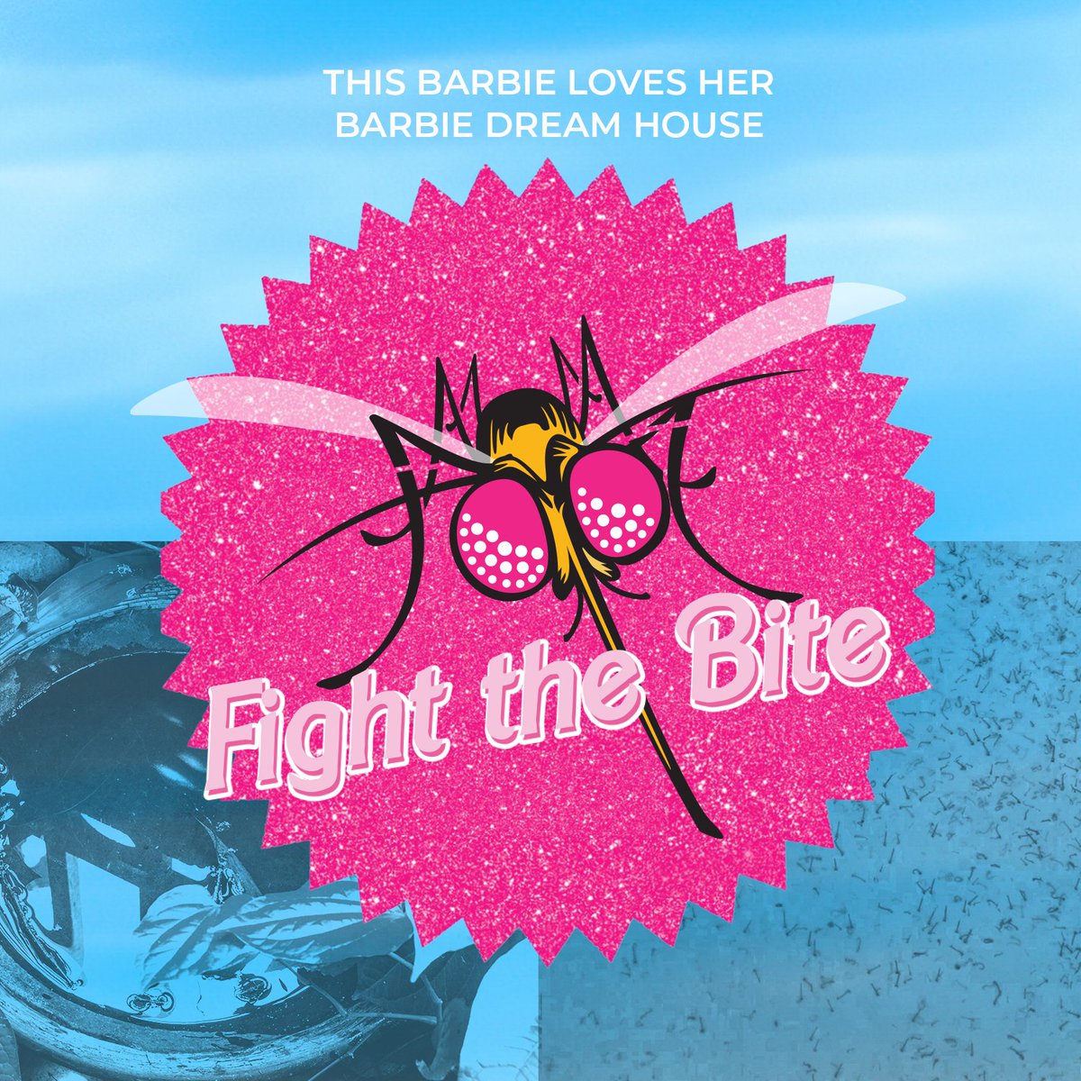 SNHDinfo's tweet photo. #MosquitoMonday 💅🏼🛍🌸 Unused bird baths, wading pools, and flower pots are a mosquito’s Barbie dreamhouse! #FighttheBite and #TipNToss anything with standing water to reduce breeding sources. Our #MosquitoSurveillance program has more tips: https://t.co/Njx34OqeOR https://t.co/QRa2ObtOnV