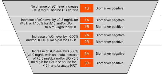 Mayo Clinic Nephrology (@mayoclinicneph) on Twitter photo AKI management strategies peri-cardiovascular interventions - risk stratification, hemodynamic optimization and multidisciplinary collaborative care remain essential to this pervasive undesirable complication. <a href="/kianoushbk/">Kianoush Kashani</a> <a href="/sanjayCCM/">Sanjay Chaudhary</a> #MayoClinicKidney sciencedirect.com/science/articl… AKI management strategies peri-cardiovascular interventions - risk stratification, hemodynamic optimization and multidisciplinary collaborative care remain essential to this pervasive undesirable complication. <a href="/kianoushbk/">Kianoush Kashani</a> <a href="/sanjayCCM/">Sanjay Chaudhary</a> #MayoClinicKidney sciencedirect.com/science/articl…