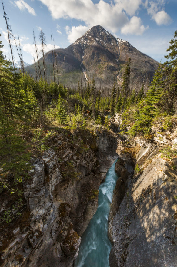 KootenayNP's tweet photo. 🍁✨Happy Beautiful British Columbia Day from Kootenay National Park!🏔️🌊

Photo credit: Dani Lefrancois https://t.co/1Adf6Tv7mR