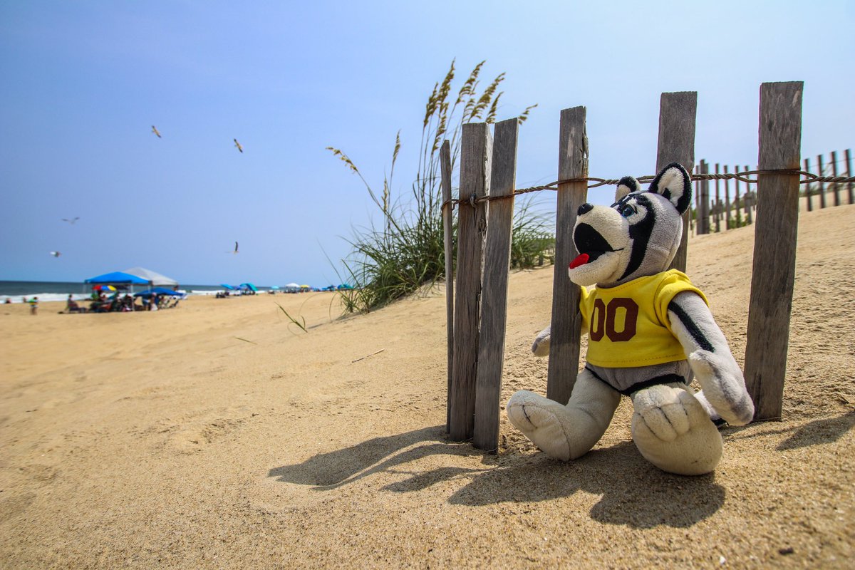 BloomsburgU's tweet photo. It’s just about that time 🌤️🌊⌛️…📍💯🐾 #BackToHuskyLife #August #summer #BloomOnward #college https://t.co/wEQhZgPNC3