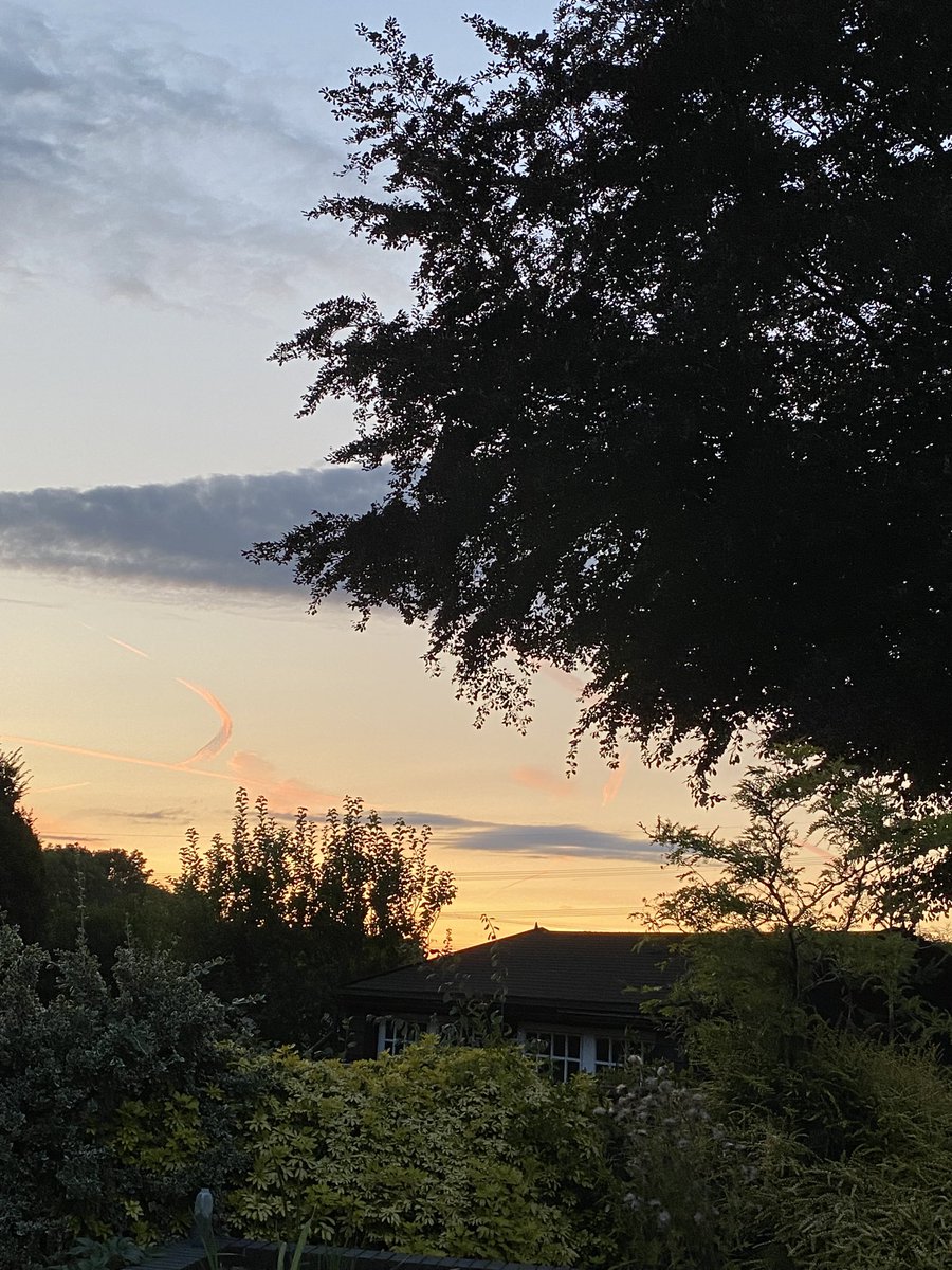 the mini smallholder / Homegrown Herb Garden tweet media