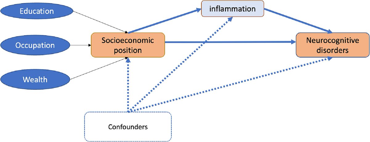 Very happy to see this new <a href="/ELSA_Study/">English Longitudinal Study of Ageing</a> published in <a href="/BrainBehavImm/">BrainBehavImm</a> showing how the impact of #inflmamation on #neurocognitivedisorders varies by #SES #inequalities particularly #wealth
Congrats <a href="/AswathikuttyAsh/">Ash_aswathikutty 🇮🇳 🇬🇧 She/her</a> <a href="/UCL_IEHC/">UCL IEHC</a>
<a href="/BSMSMedSchool/">BSMS</a> <a href="/BSMS_CDS/">Centre for Dementia Studies</a> 
shorturl.at/myQS3