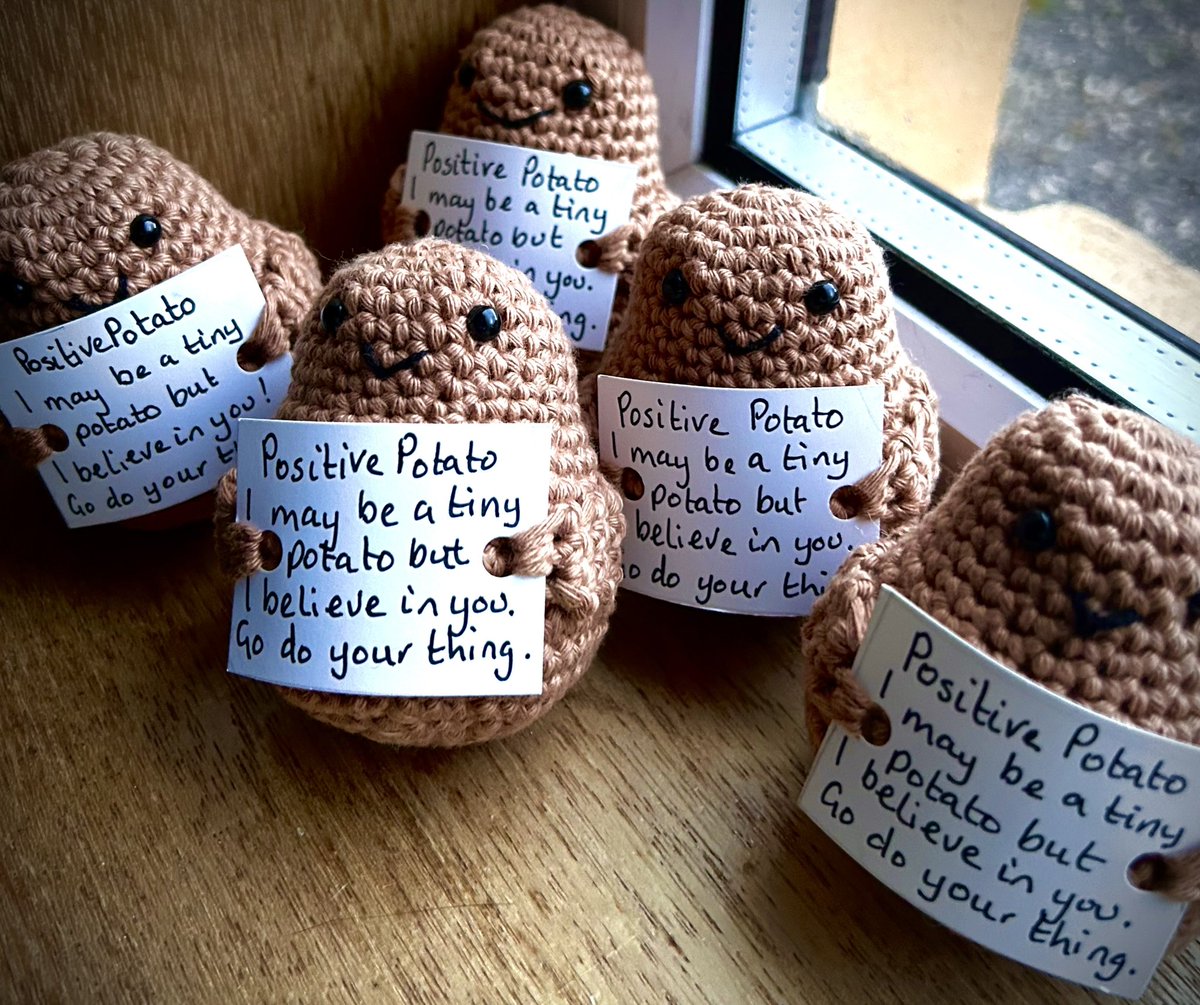 This little bunch of #PositivePotatoes are ready to go 🥔🥰 should I make more? 🤔
