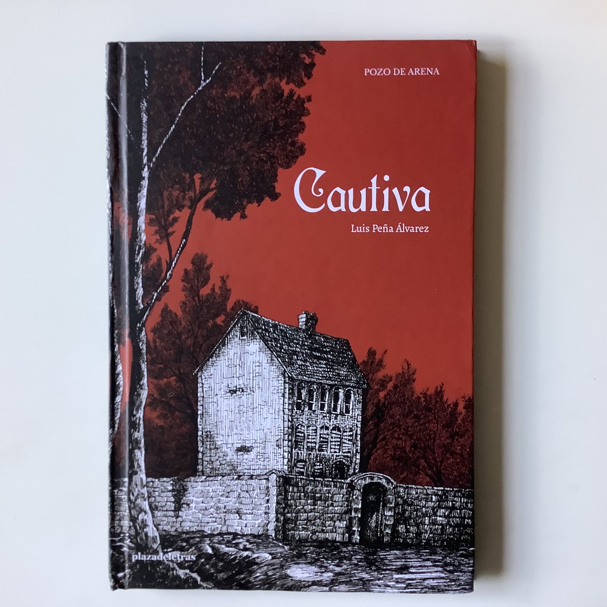 “Cautiva” es uno de los libros del dibujante y autor Luis Peña Álvarez publicados en Chile por Pozo de Arena. En esta historia gráfica hallarán una trama con personajes y atmósferas que evocan los clásicos del romanticismo oscuro y de la literatura gótica. <a href="/plazadeletras/">Plazadeletras</a>