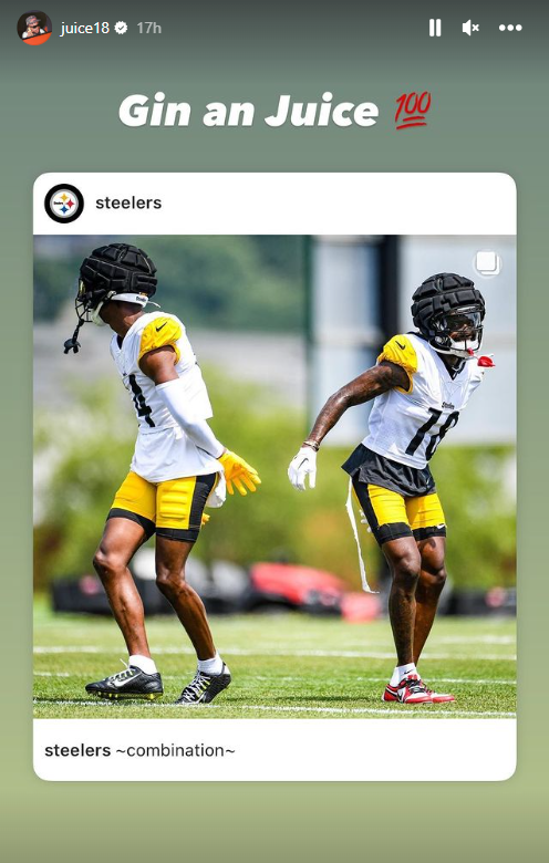 Gin an Juice 💯 #Steelers #NFL