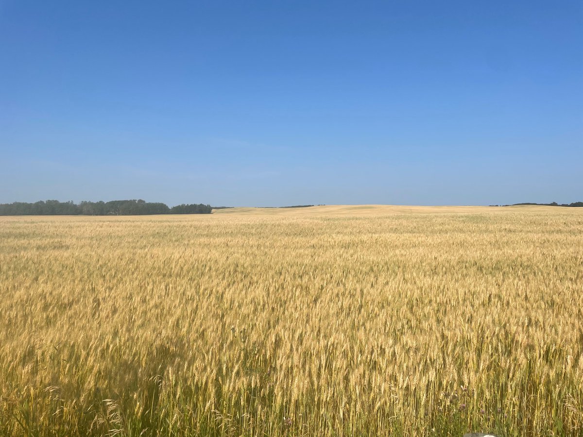 From old elevators to new ones Alberta really has a beautiful landscape.