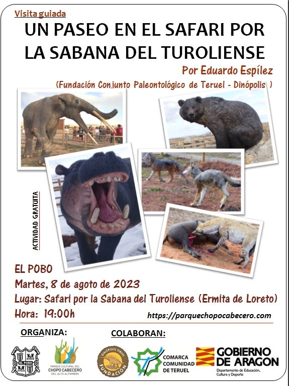 PCChopoCabecero's tweet photo. Conocer el trabajo de los paleontólogos. Comprender los ecosistemas del final del Mioceno. Imaginar otros climas, otros relieves,  otros paisajes. Volar en el tiempo pero no en el espacio.
Mañana martes 8 de agosto, a las 19.00 en El Pobo, un viaje a la sabana del Turoliense https://t.co/4ExcV5ktys