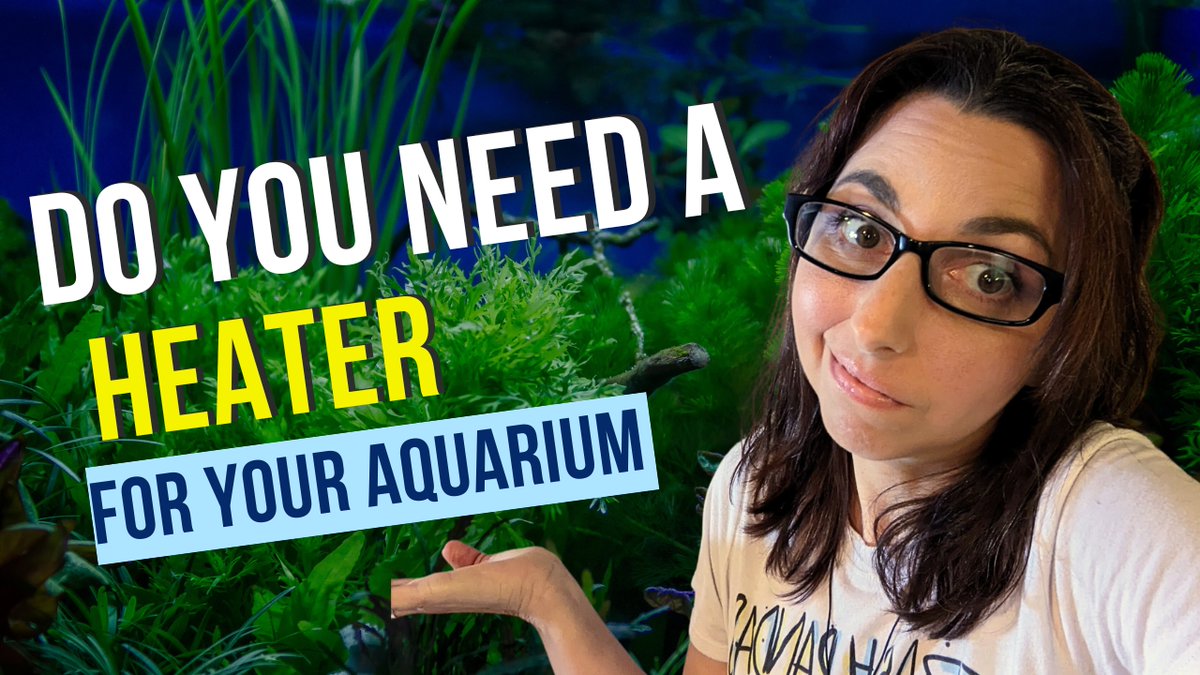 MyHecticLife82's tweet photo. https://t.co/SrV0w8Sivd #aquariums https://t.co/QAuZ5ZjnaX