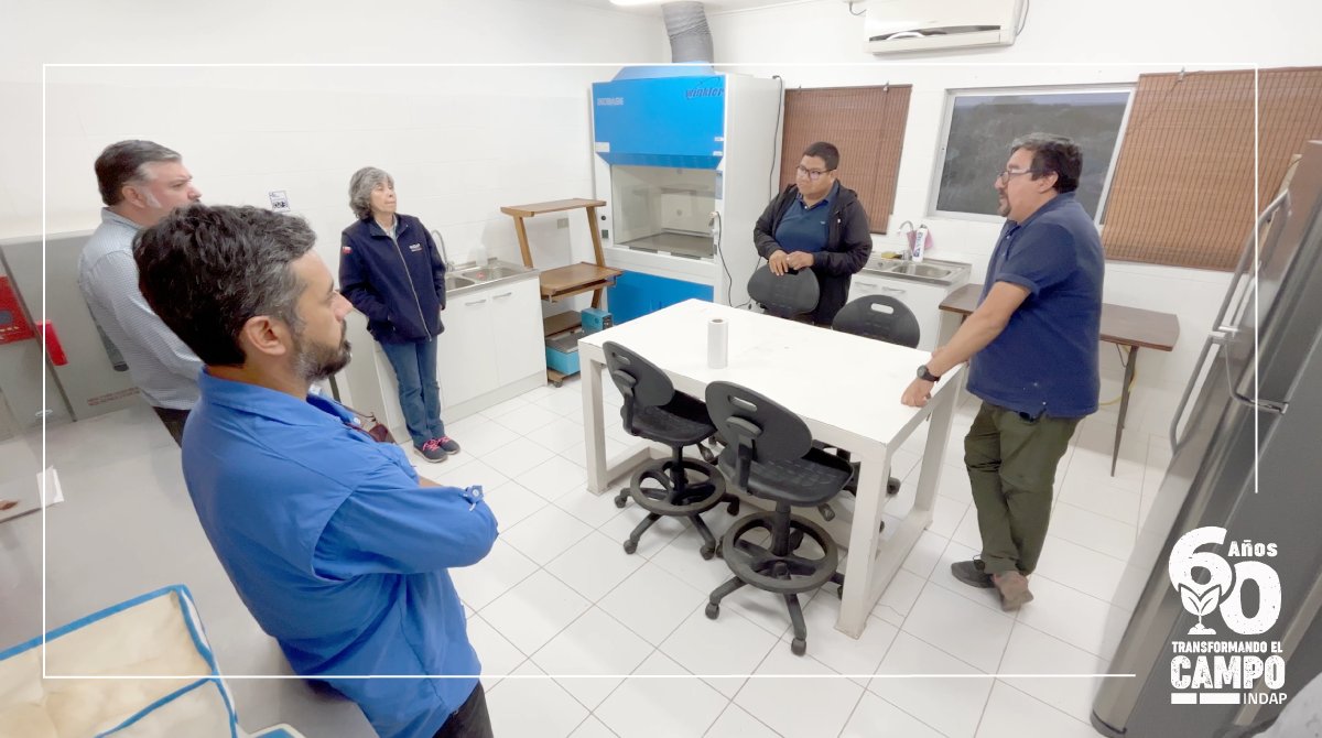 INDAP_Tarapaca's tweet photo. El programa de visita a la @UTarapaca, encabezado por el DR (s), Felipe Martínez y el Jefe Fomento, Luis Pizarro, contempló comenzar a trabajar un convenio marco, que permitirá retroalimentar experiencias que se vienen desarrollando en laboratorios y predios experimentales. https://t.co/MWESEdDhkL