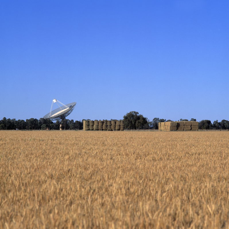 CSIRO_ATNF's tweet photo. #ATNFflashbackFriday In 2004 the paddocks surrounding our #Parkes radio telescope, #Murriyang produced a bumper crop of hay! Read more about the telescope's history here: https://t.co/XKTHmXEZDc Pic: T Ruckley https://t.co/xnhOJWOqC1