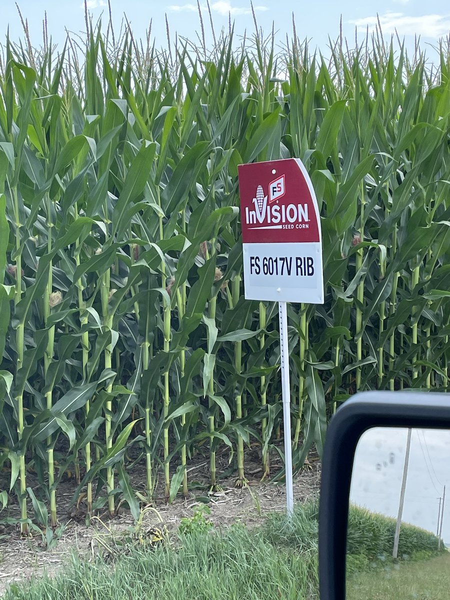 FS 6017V

Remember it’s Name this Fall when placing your early order of <a href="/InVISION_HiSOY/">FSInVISION_FSHiSOY</a>