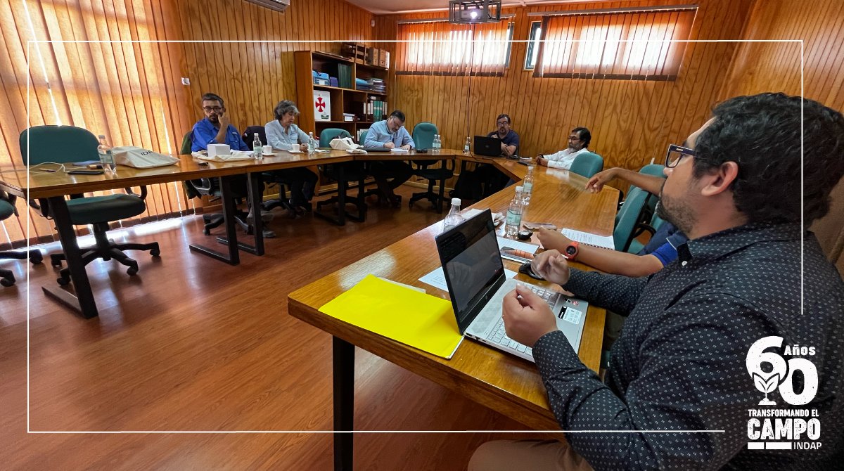 INDAP_Tarapaca's tweet photo. El programa de visita a la @UTarapaca, encabezado por el DR (s), Felipe Martínez y el Jefe Fomento, Luis Pizarro, contempló comenzar a trabajar un convenio marco, que permitirá retroalimentar experiencias que se vienen desarrollando en laboratorios y predios experimentales. https://t.co/MWESEdDhkL