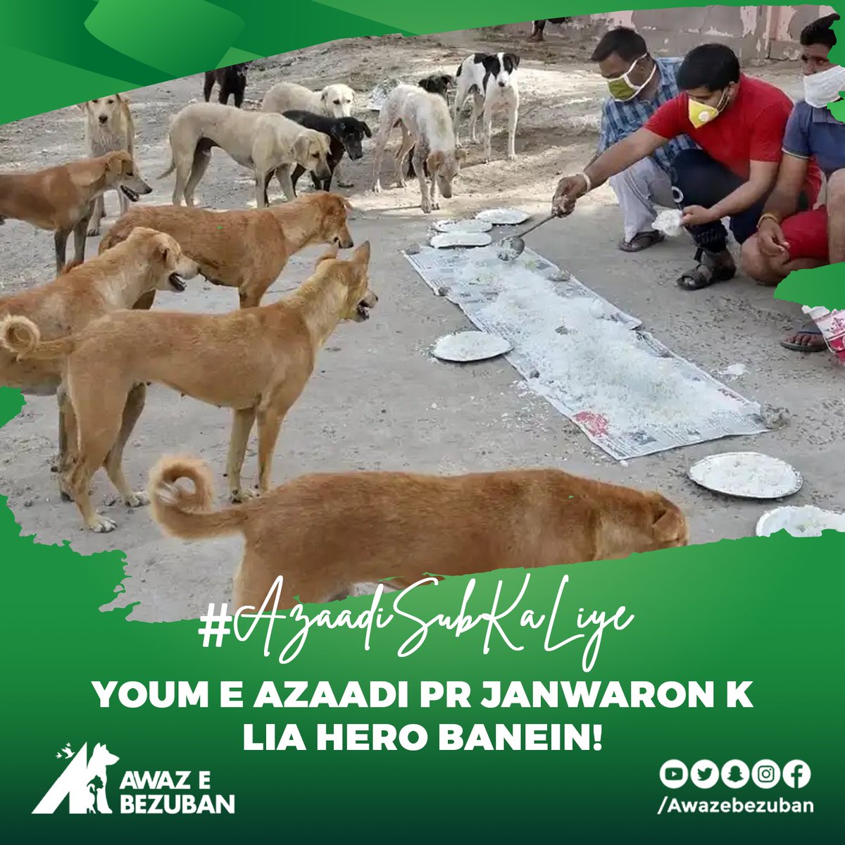 🇵🇰❤️ Show your love and compassion by advocating for their rights and welfare. Let's celebrate freedom for all beings! 🌟

#IndependenceDay #AnimalRights  #Compassion #freedomforall  #loveforanimals #PakistanZindabad #14august2023 #AwazeBezuban
