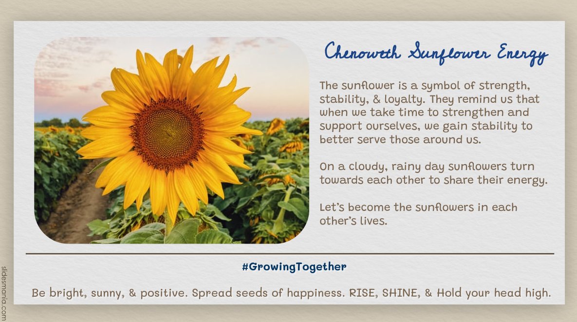 Katie Wolff, NBCT tweet media