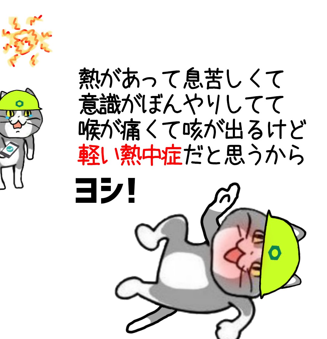 なにもかも良くないけどヨシ! #現場猫 