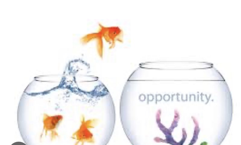 mgkashyap's tweet photo. I took a long Call on $AAPL today after my successful Put call that I closed on Friday . My friend said that I am not loyal … one day I was taking Puts and next day taking calls … Don’t know how to answer that 🥹 https://t.co/brPlqtY4jY
