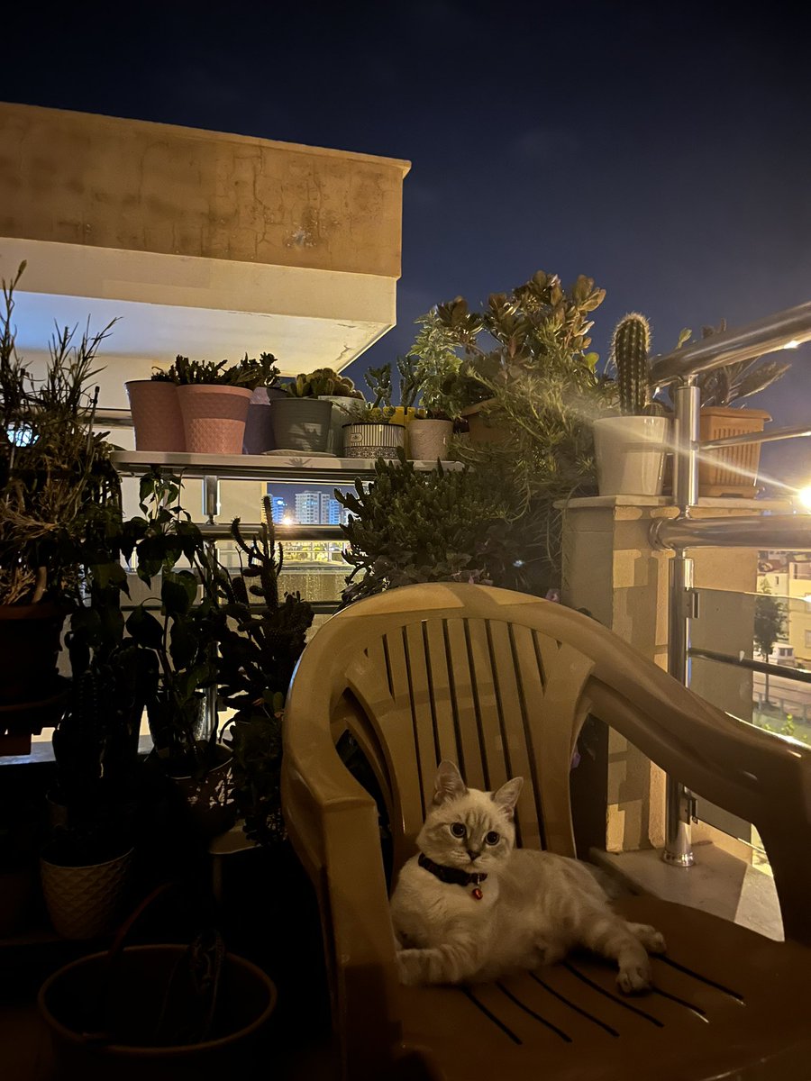 Manitayla balkon keyfine geçtik